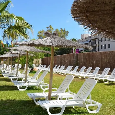 Vibra - Adults Only 2*
